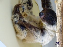 Tiergarten Schönbrunn am 20.10.2025